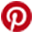Pinterest-Icon-wefitindia-wefi-signature