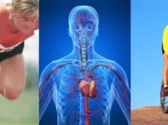 What is Cardio and why it is important? What is cardio and why its important